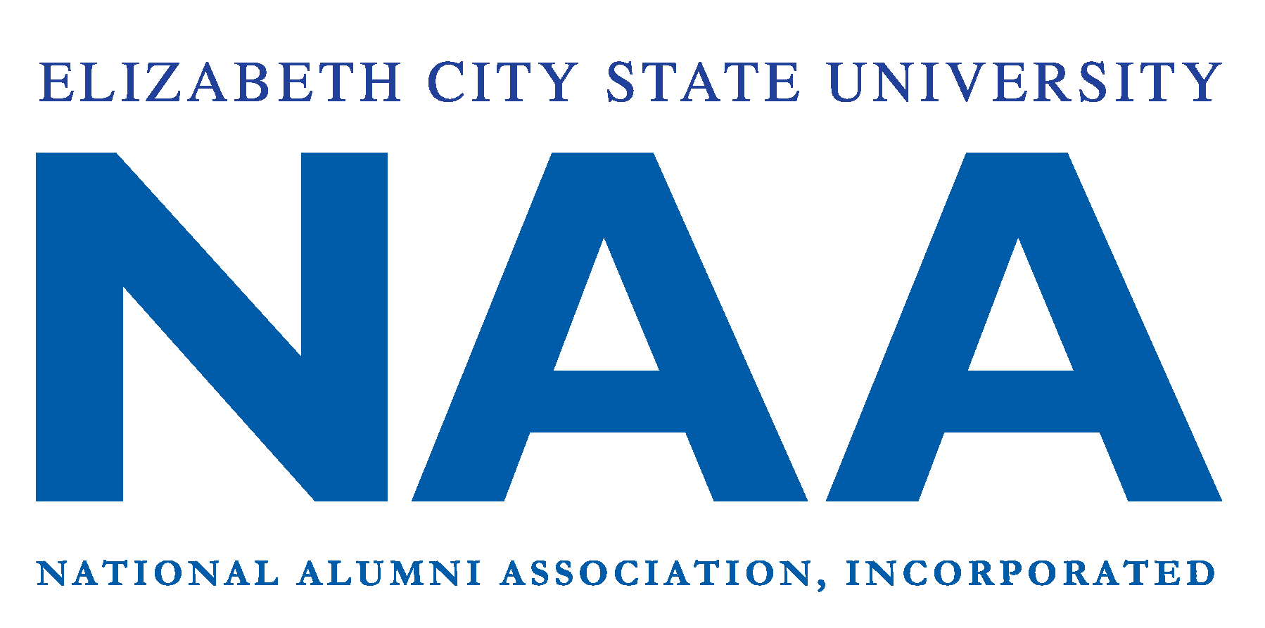 Blue wordmark logo for NAA