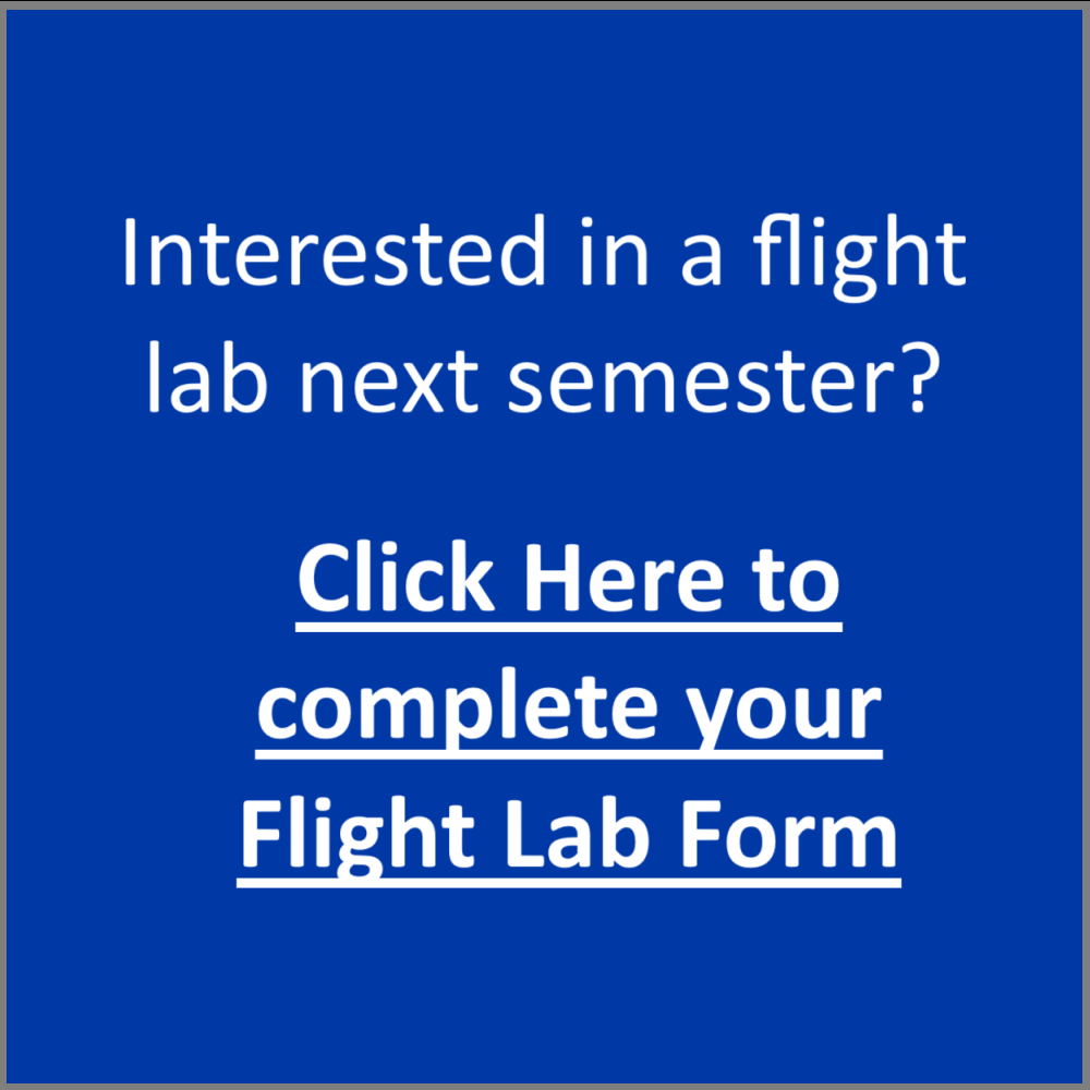 Flight Lab Button