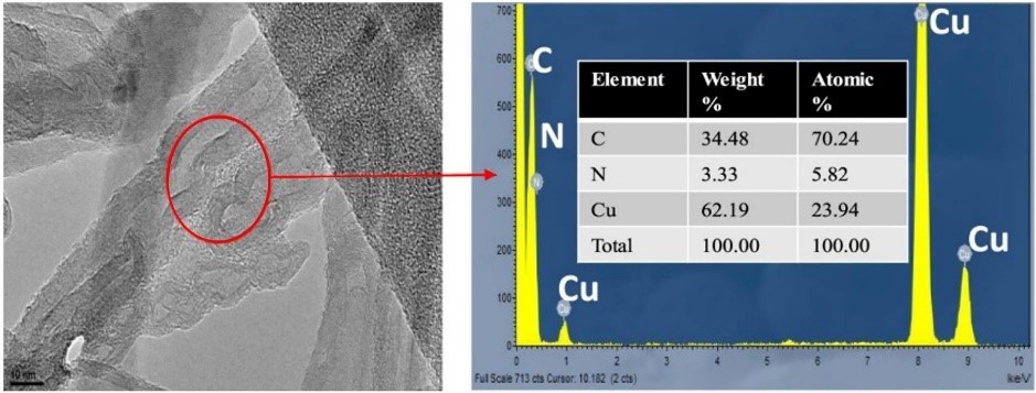Carbon nanotubes visualized by electron microscopy; the material composition is analyzed using electron dispersive spectroscopy (EDS).